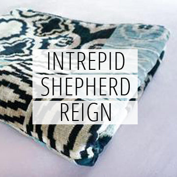 INTREPID SHEPHERD REIGN